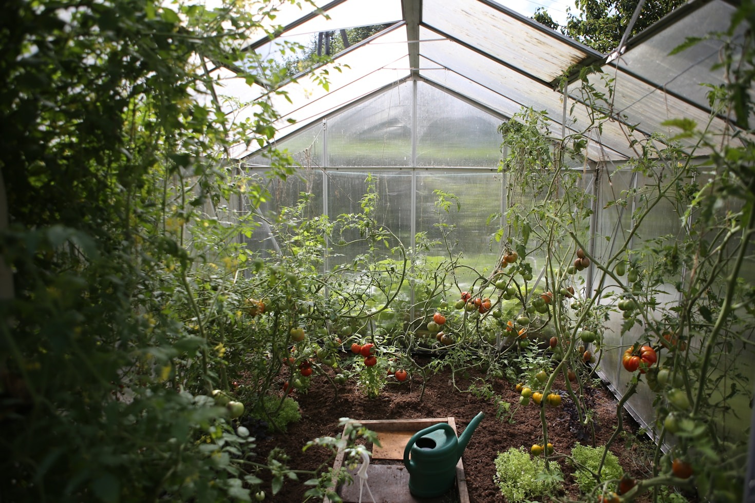Reducing Your Waste Footprint One Day Daily